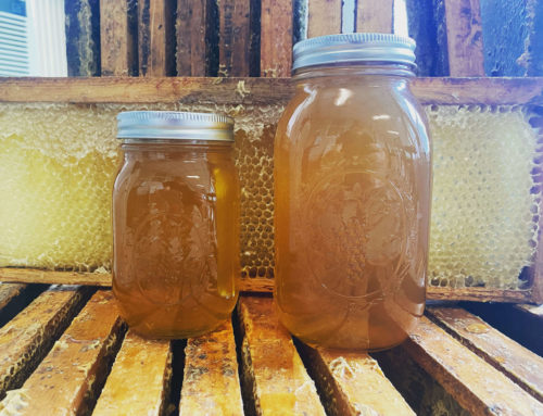 What is Raw Honey?